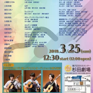 神奈川ギターフェスティバルのサムネイル